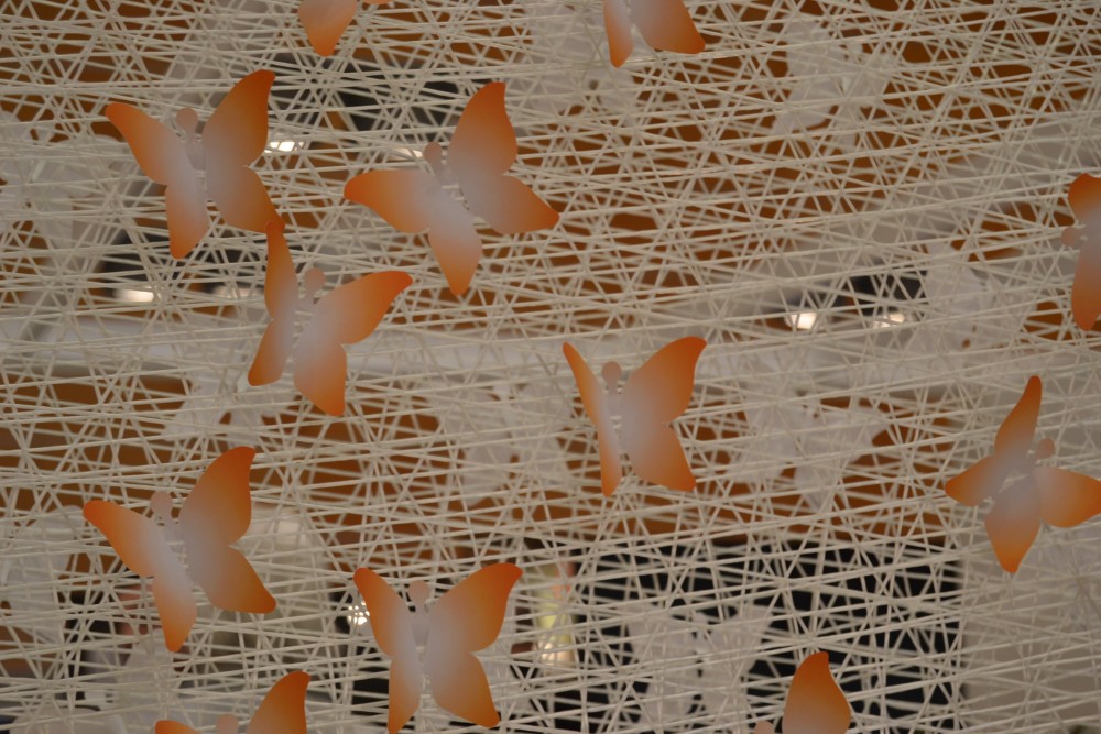 farfalle DSC_0062