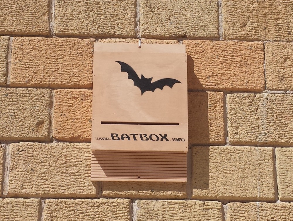 bat-box