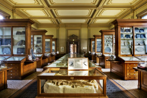 Tweede_Fossielenzaal_Teylers_Museum_(1885)