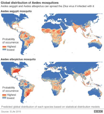 zika-virus-2_0