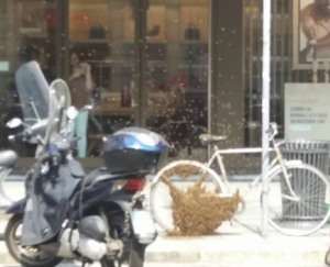 Schermata 2017-06-14 alle 10.05.47