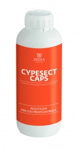 CYPESECT CAPS copia 2