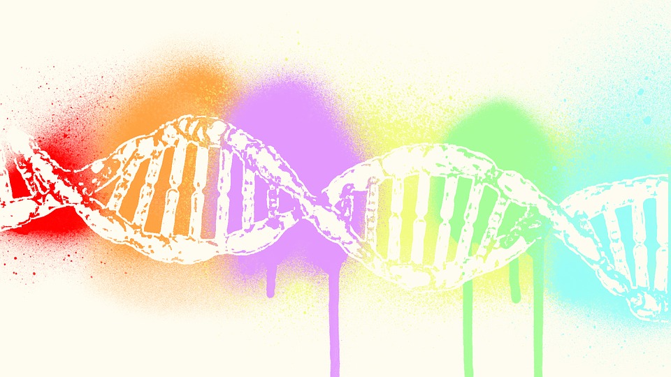 dna-2358911_960_720