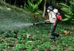BPCA e HSE a confronto sulla regolamentazione dei biocidi