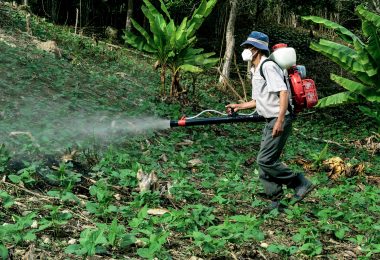 BPCA e HSE a confronto sulla regolamentazione dei biocidi