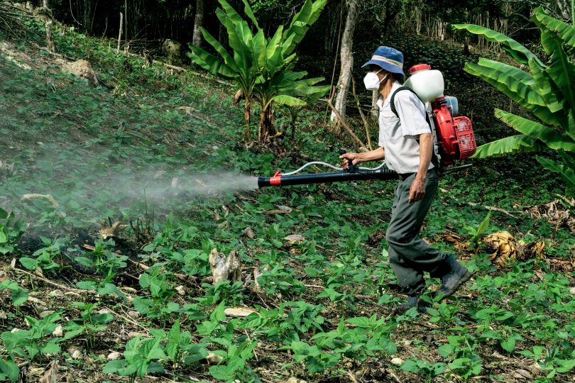 BPCA e HSE a confronto sulla regolamentazione dei biocidi